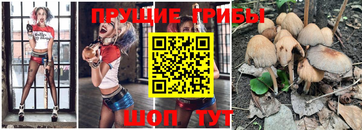 Галлюциногенные грибы мицелий  Псилоцибиновые грибы MAGIC MUSHROOMS  Вход с VPN  Лесозаводск 